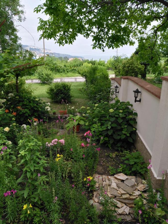 Villa Elina Baltjik Exteriör bild